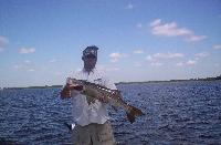 Upper Charlotte Harbor snook