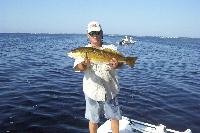 Nice 8 lb. redfish caught in Charlotte Harbor